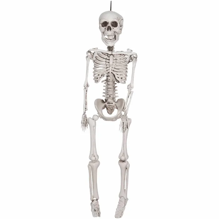 Abracadabra NYC 36-inch Plastic Skeleton