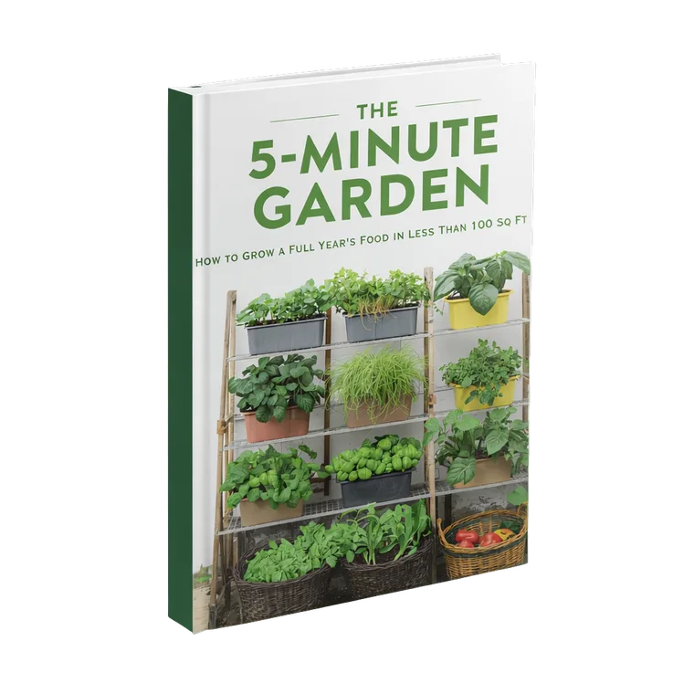 5 Minute Garden